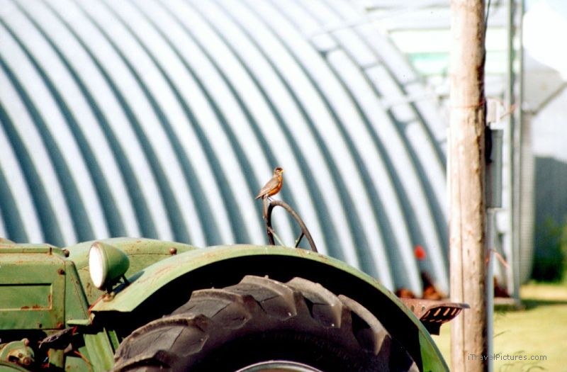 Kelvington bird tractor
